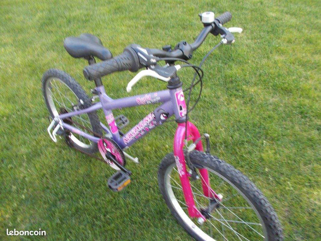 Vélo VTT 20 pouces 5-8 ans (image 2)