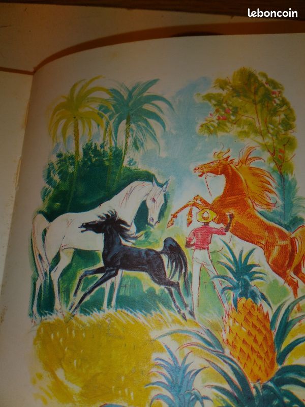 Livre LA FÉE DES ÎLES (image 4)