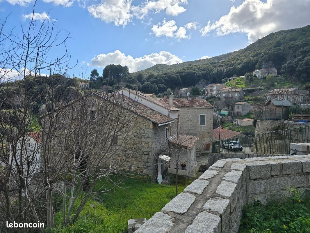 Appartement 1 pièce 30 m² · à Albitreccia · 30 m² · 490 €