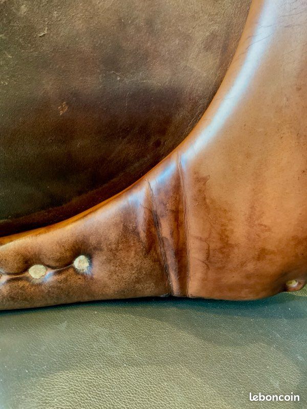 Selle de dressage Delgrange (image 9)