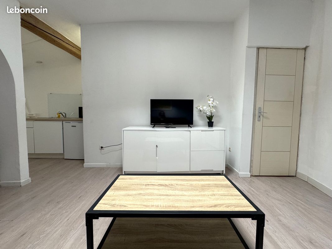 Splendide appartement climatisé à Carcassonne (image 4)
