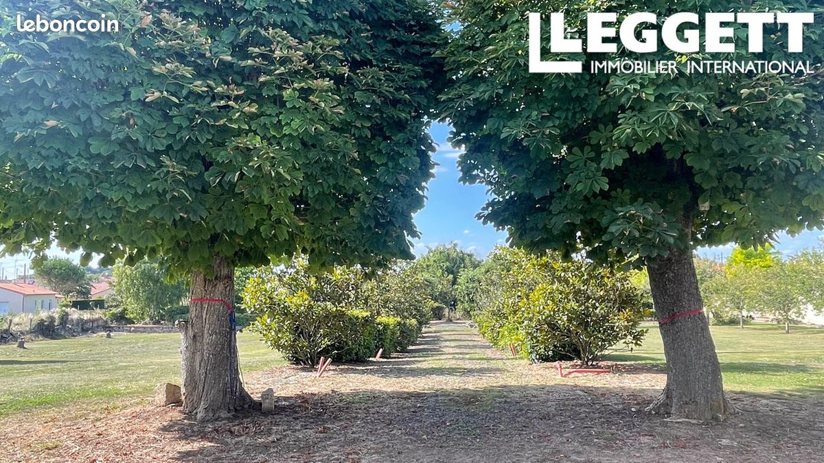 Maison 7 pièces 254 m² - Sainte-Verge 79100 (image principale 4)