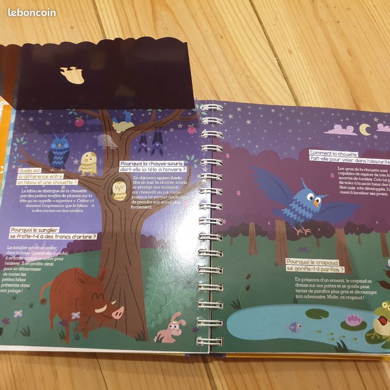 Livre enfant premières lectures pourquoi (image 5)