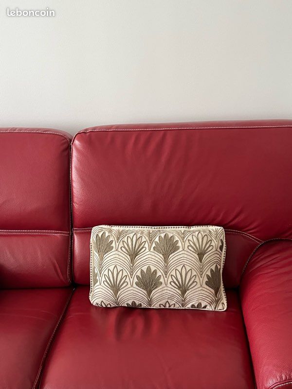 Coussin de divan horizontal 50x 30 (image 1)