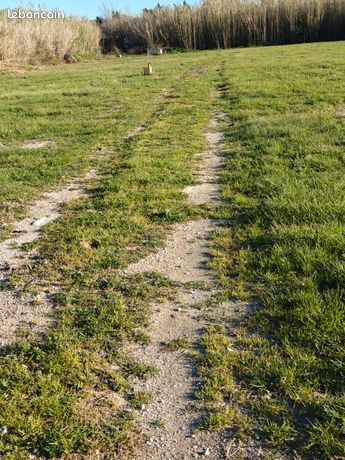 Location terrain
