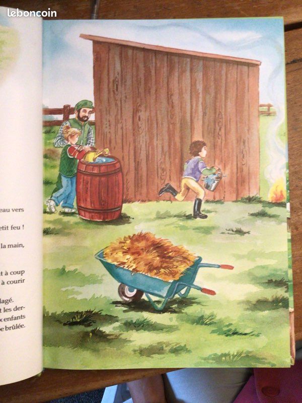 Livre les plus belles histoires de chevaux (image 4)