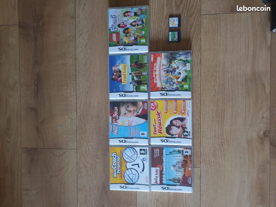 Jeu DS (image 1)
