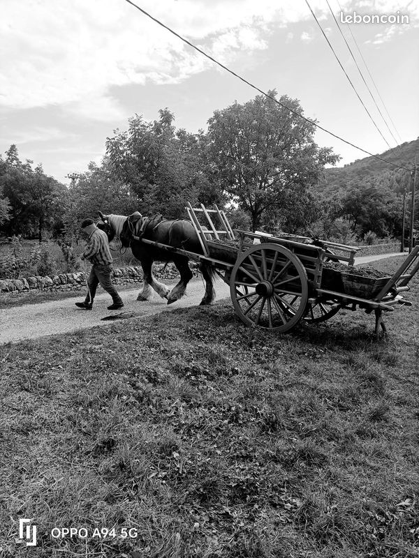 Charette (image 1)