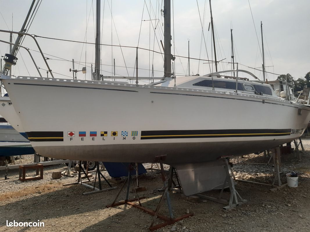Feeling 286 SP — View photo 1