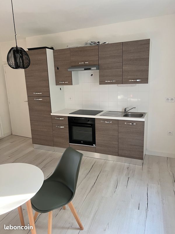 Appartement lumineux vue sur le parc - Limoges 87000 (image principale 0)