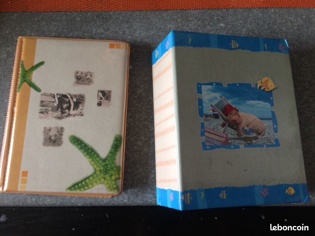 Lot 2 petits albums photos (image 1)