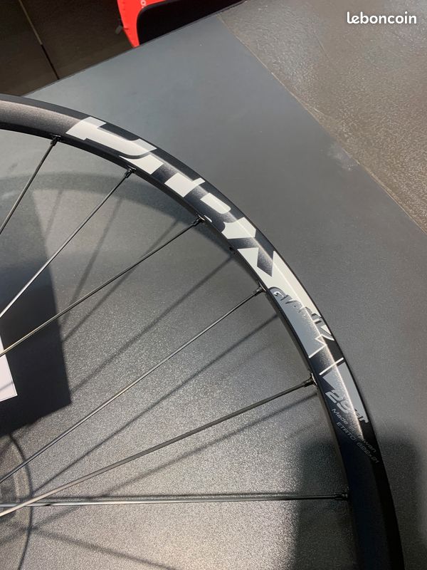 Roue Avant VTT Giant P-XC2 29er Disque 6 Boulons - Axe Traversant 15x100mm - Occasion