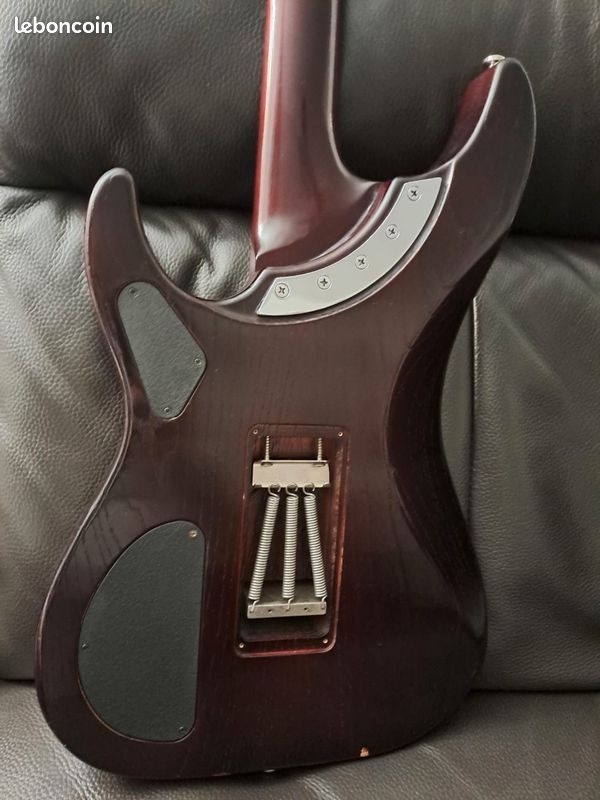 Washburn N4 esa avec upgrades et D-tuna (image 9)