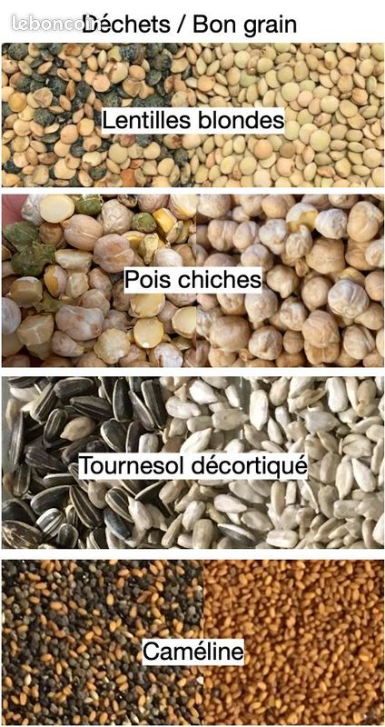 Trieur optique polyvalent (image 2)