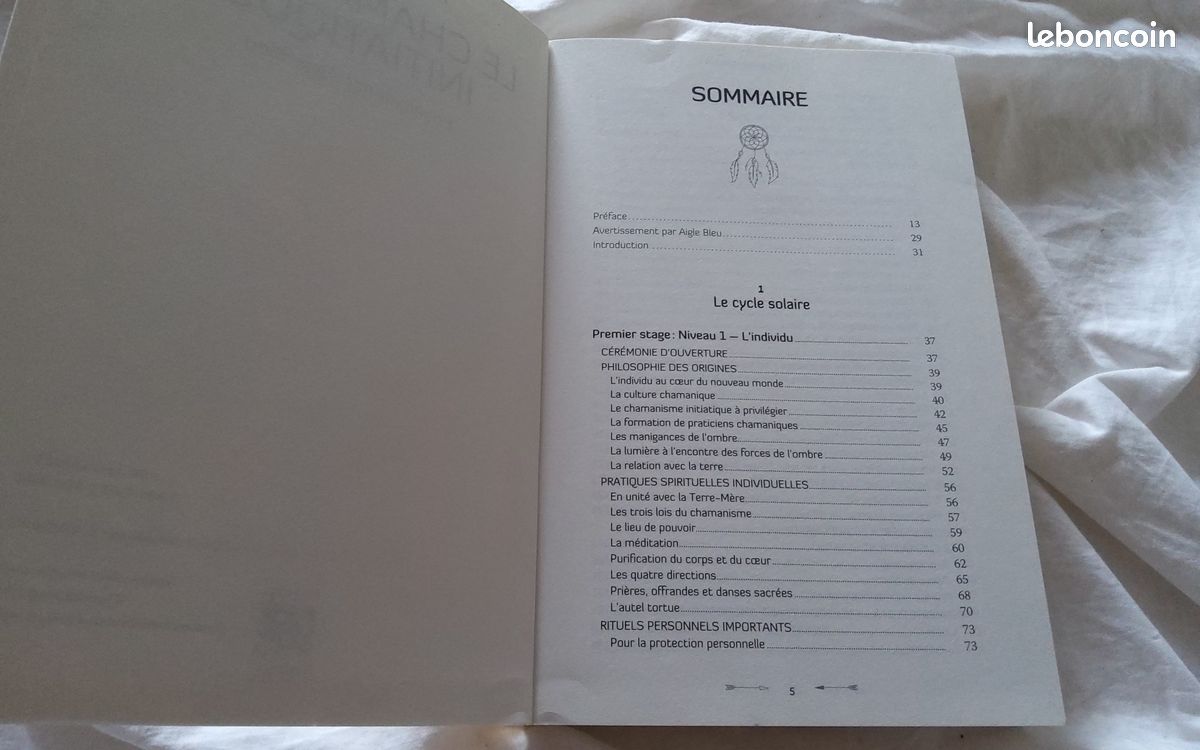 Le chamanisme initiatique enseigné par Aigle Bleu - Micheline Simard (image 4)