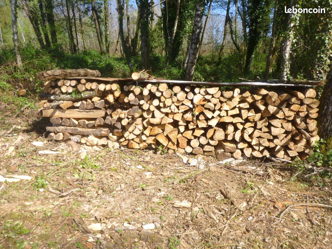 Bois de chauffage (image 1)