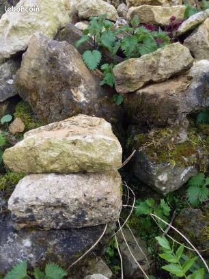 Cailloux à maçonner (image 1)