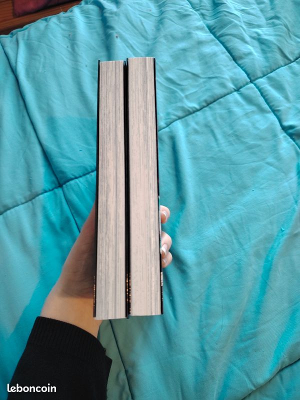 Jujutsu kaisen tomes 0 et 1 (image 4)