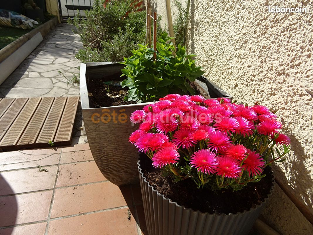 Maison 5 pièces 105 m² · à Lattes · 105 m² · 335 000 €
