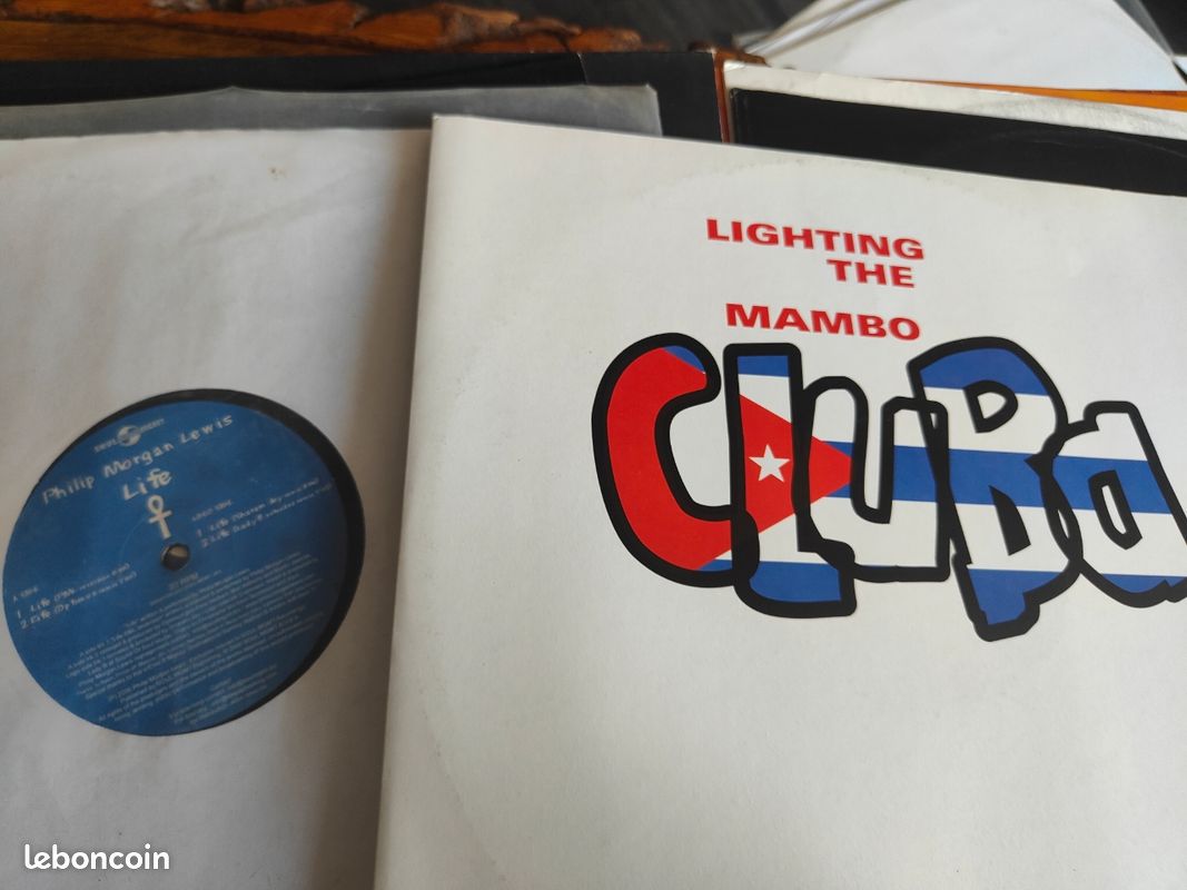 Lot 24 vinyle House (image 3)