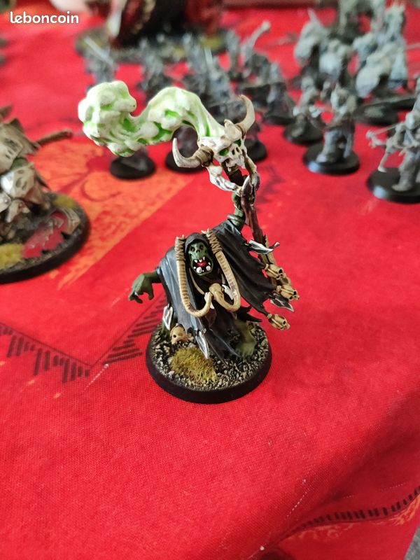 Warhammer AOS Armée Orc Ironjaws et Orc des marées (image 1)
