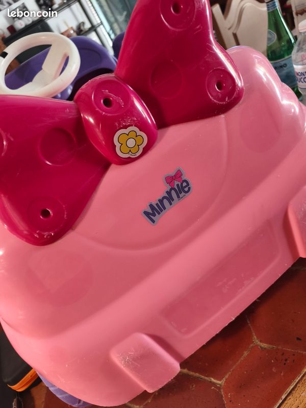 Voitur Minnie Rose (image 6)