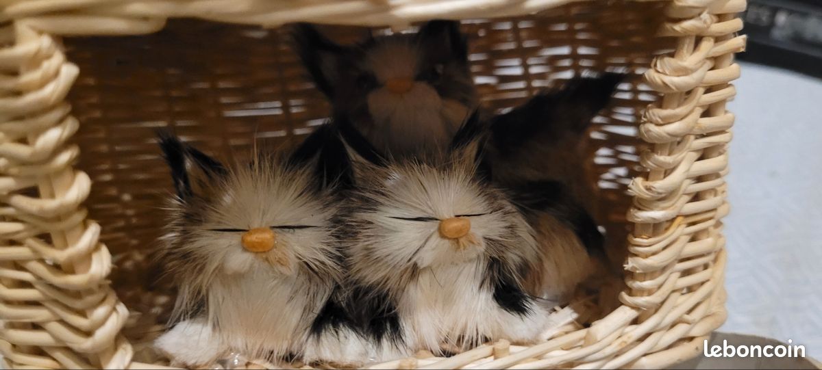 Chats mignons babiole (image 4)
