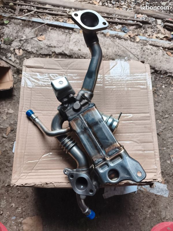 Tuyau de R60 11718575402 8575402 refroidisseur de recirculation des gaz Tuyau de R60 11718575402 8575402 refroidisseur de recirculation des gaz
