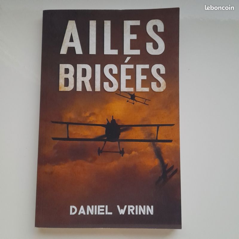 Ailes brisées Daniel Wrinn (image 1)