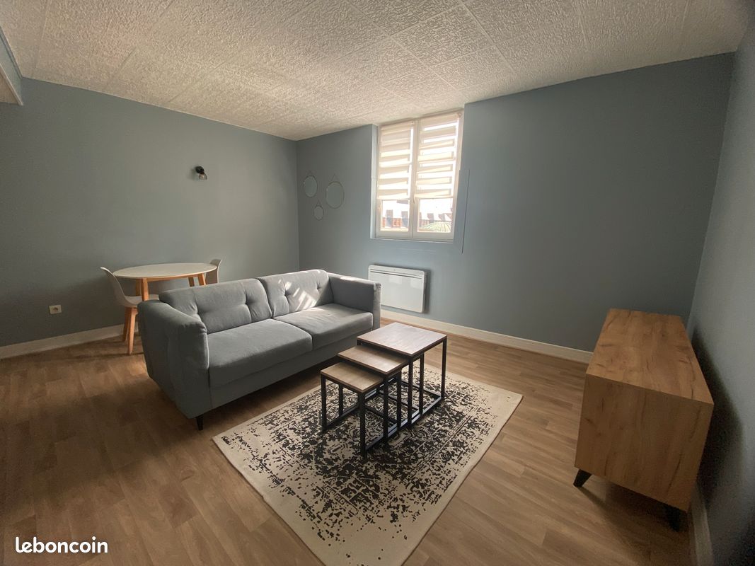 Grand studio centre ville - Limoges 87000 (image principale 1)