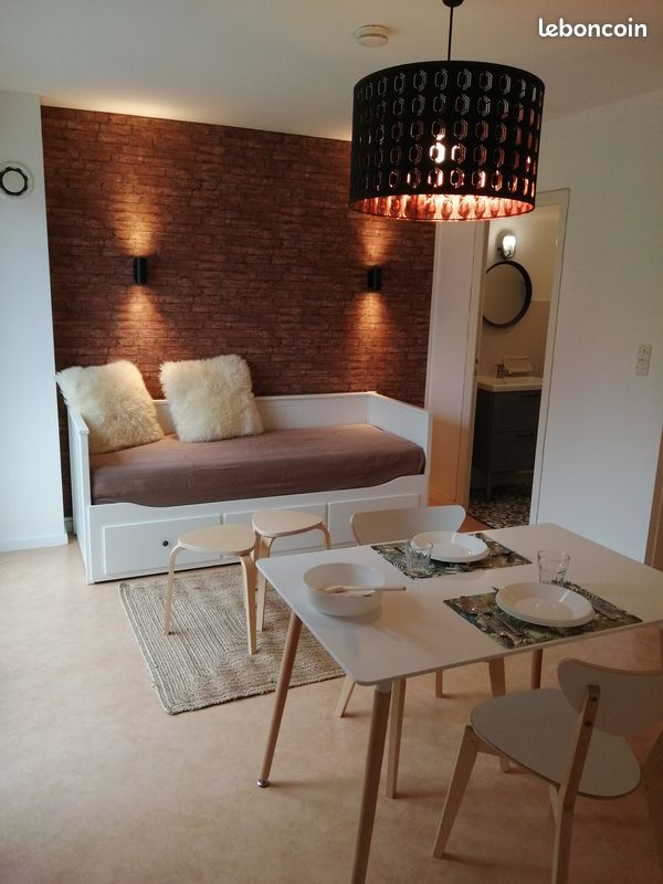 A louer Studio meublé de 27 m² (26 carrez), au calme et très lumineux, vue dégagée - Ussel 19200 (image principale 0)