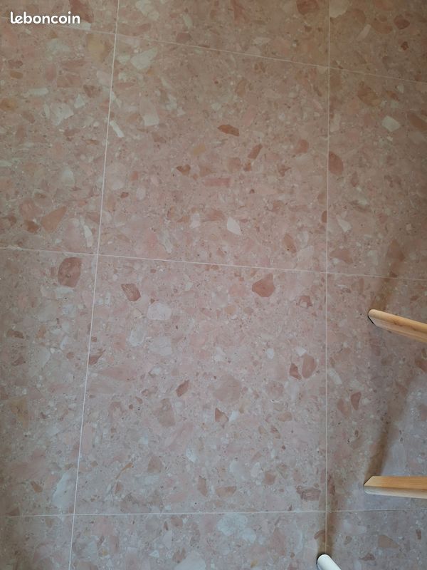 Carrelage Terrazzo Rosa Perlino (image 2)