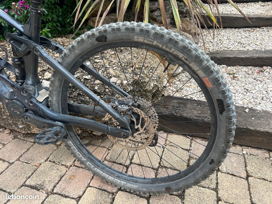Orbea Wild 2024 (image 3)