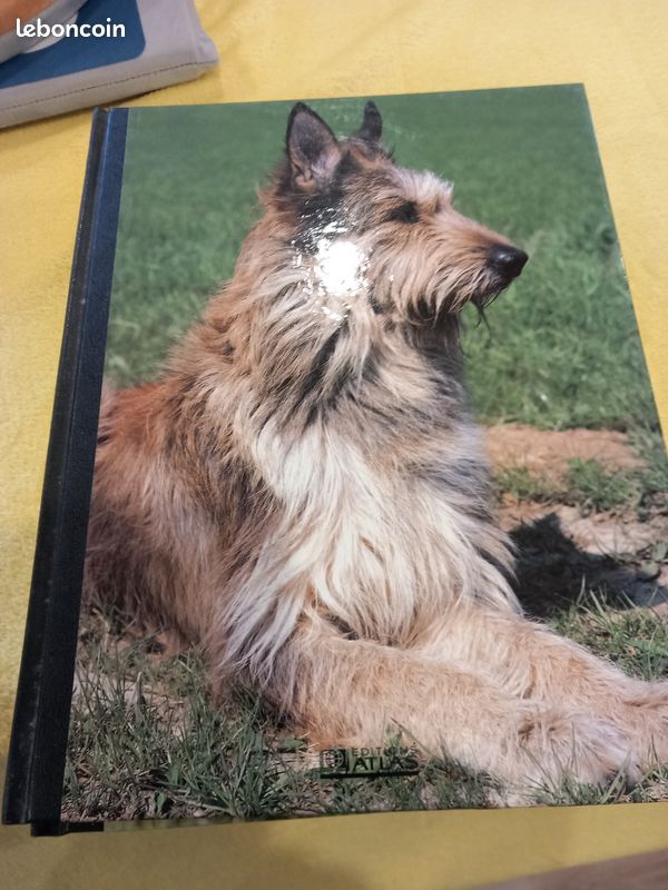 Mon compagnon le chien (image 6)
