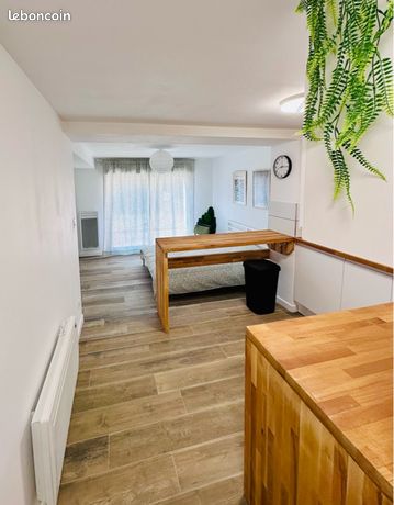 Studio meublé 28m2 + Jardin