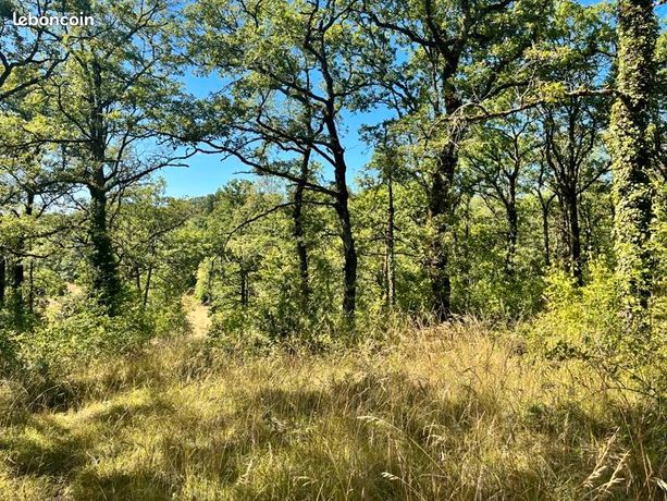 Terrain 2 400 m² Esclauzels