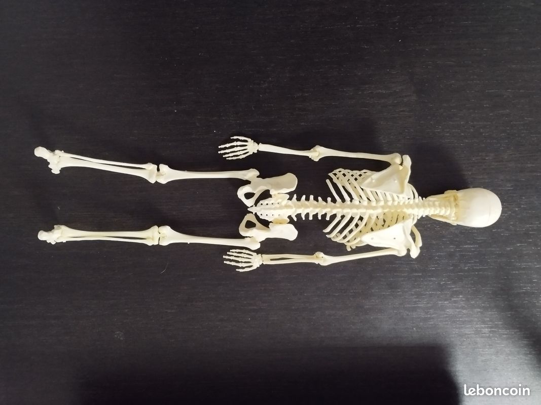 Anatomie 2000 - Kikitch : le blog des années 70-80