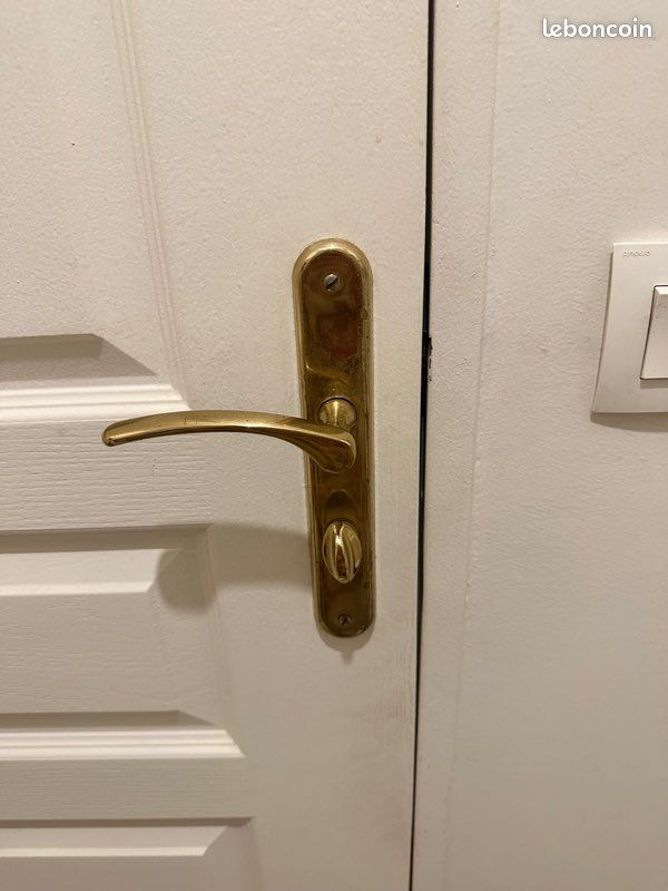 Poignées de Porte Dorée Inox (image 4)