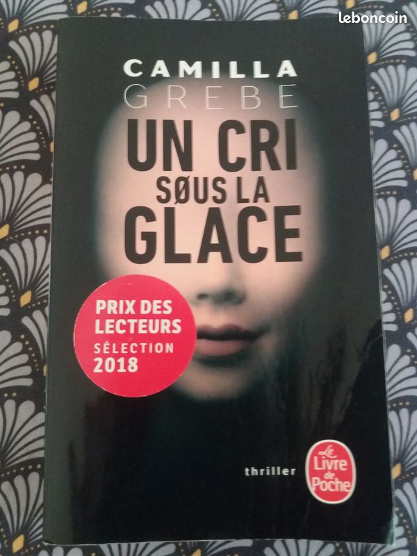 Un cri sous la glace de Camilla Grebe (image 1)