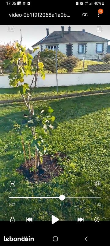 Maison 5 pièces 77 m² · à Villaines-la-Juhel · 77 m² · 700 €