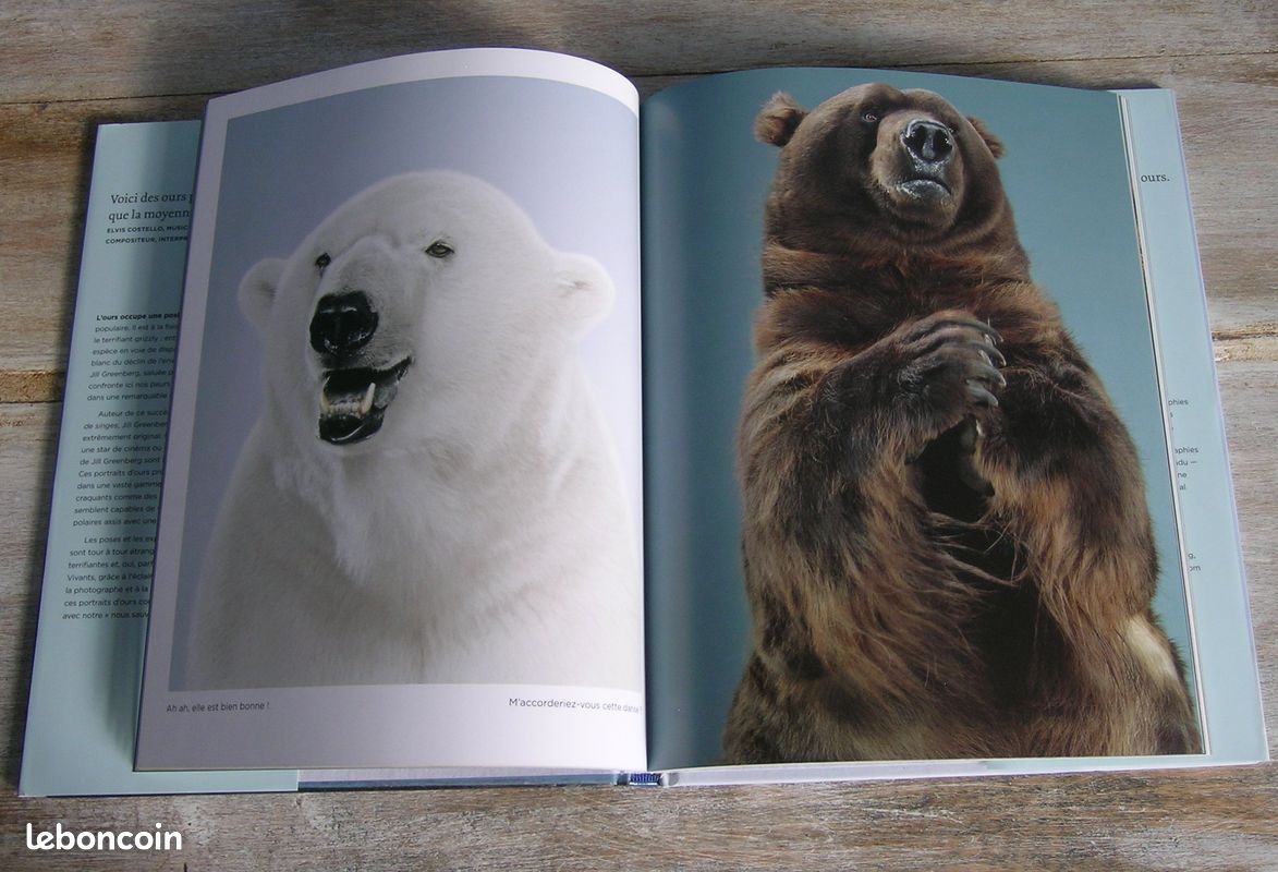 đâ Livre Portraits d'ours - Jill Greenberg - NEUF (image 3)