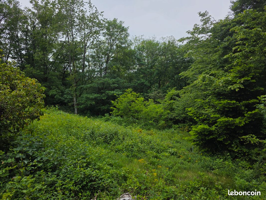 Terrain à vendre environ Thann · à Rammersmatt · 70 000 €