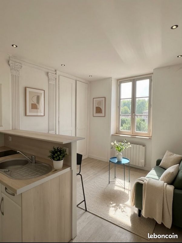 Appartement 1 pièce 20 m² · à Montbrison · 20 m² · 320 €