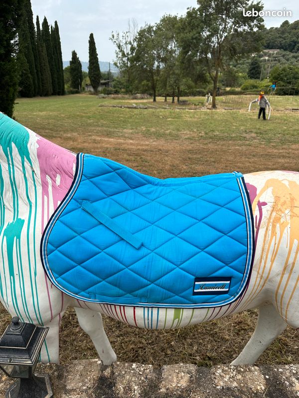 Tapis bleu clair pour cheval (image 1)