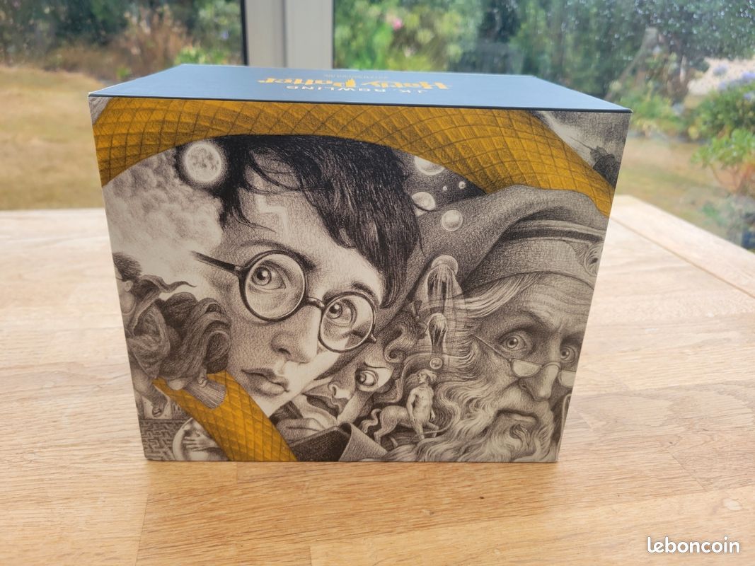 Saga Harry potter, édition spéciale Brian Selznic (image 10)