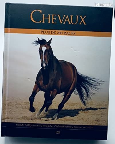 Chevaux (image 1)