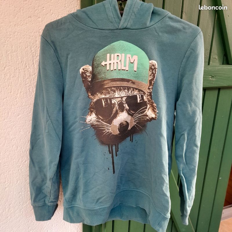 Sweat à Capuche Garçon Animal Bleu 11-12 Ans Avec Poche Kangourou