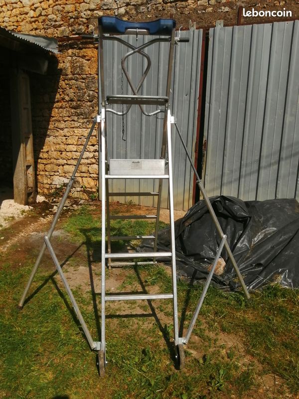 Gazelle Duarib (image 2)