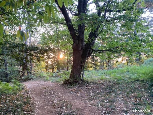 Terrain constructible 1607 m2
