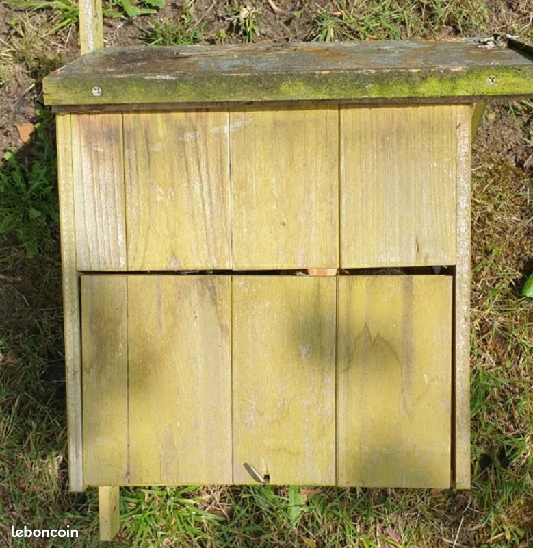 Cabane écureuil Nichoir Pour Écureuils Déjà Monté - Maison En Bois 38x28.5x20cm - Trou D'Entrée 45mm Gîte Ecureuil